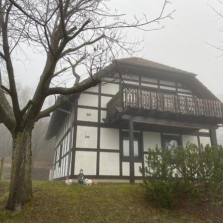 Ferienwohnung Lix Direkt Am Waldrand Frankenau Ngoại thất bức ảnh